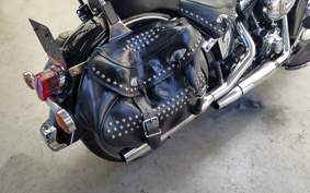 HARLEY FLSTC 2013 BW5