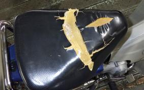 HONDA C50 SUPER CUB AA01