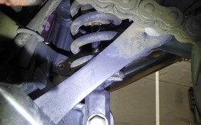 KAWASAKI NINJA 250R 2025 EX250K