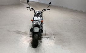HONDA ZUMAR AF58