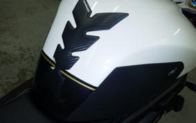 TRIUMPH SPEED TRIPLE RR 2022