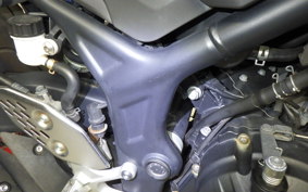 YAMAHA MT-25 2020 RG43J