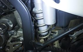 KAWASAKI KLX250D TRACKER 2008 LX250E