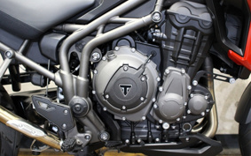TRIUMPH TIGER 1200XRT 2019 V1F44E