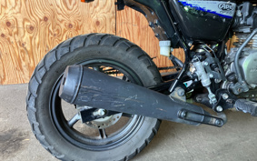 HONDA Ape50 TypeD AC18