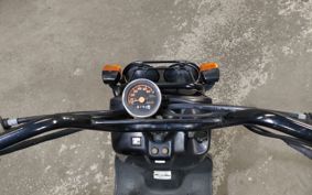 HONDA ZUMAR AF58