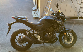 YAMAHA MT-25 RG43J