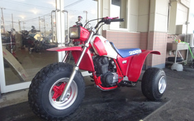 HONDA ATC200 X TB05