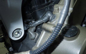 HUSQVARNA SVARTPILEN 250 2020
