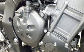 YAMAHA FZ1 FAZER 2013 RN21J