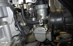 KAWASAKI KDX220SR 2019 DX220B