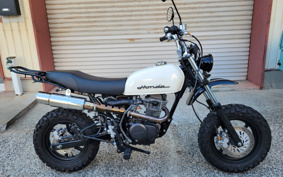HONDA APE 100 HC07