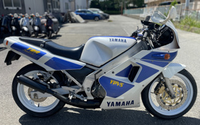 YAMAHA TZR250-1 1KT
