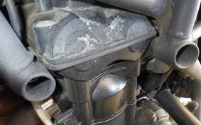 TRIUMPH TIGER800(ショルイナ