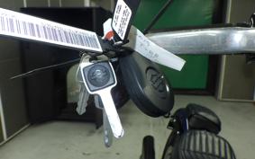 HARLEY FXBB1750 2019