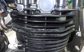 OTHER +UNREGISTERED MODEL by BDS250