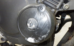 HONDA HORNET 250 2007 MC31