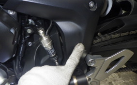 TRIUMPH TIGER 660 SPORTS 2025
