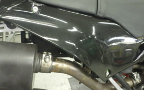 KAWASAKI KLX250D TRACKER 2009 LX250E