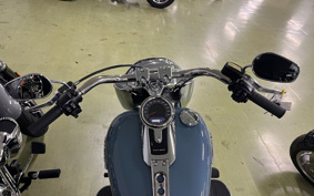 HARLEY  HARLEY FLFBS 2025 YGK