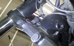 TRIUMPH BONNEVILLE T100 2024