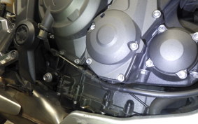 TRIUMPH TRIDENT 660 2024