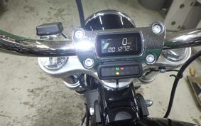 HARLEY FXST1750 2022