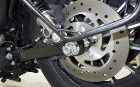 HARLEY XL883N 2015