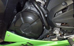 KAWASAKI NINJA 250 EX250L