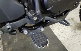 HONDA CRF150L 2025