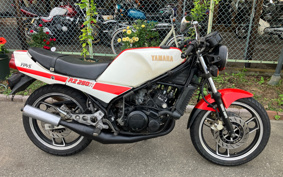 YAMAHA RZ250R 29L