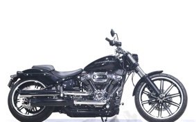 HARLEY FXBRS 2021 YHK