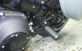 HARLEY FXLRST1920 2025