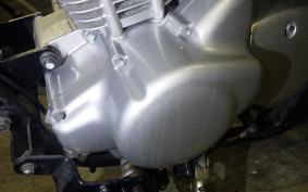 KAWASAKI ELIMINATOR 125 2025 BN125A