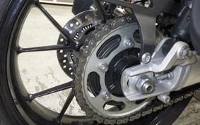 TRIUMPH SPEED TWIN 2024