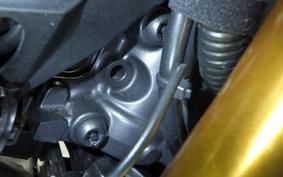 YAMAHA MT-09 SP 2022 RN69J