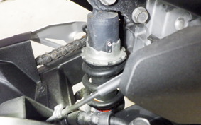 KAWASAKI NINJA 250 2019