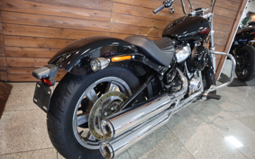 HARLEY FXST1340-1450 2023 BVJ