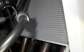 KAWASAKI NINJA1100SX 2025