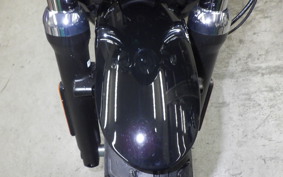 HARLEY RH975 2022