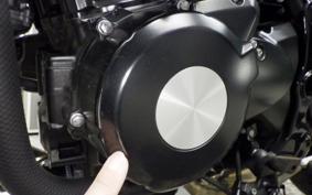 KAWASAKI Z900RS 2023 ZR900K