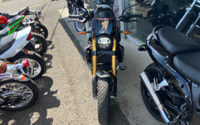 INDIAN FTR CARBON 2024