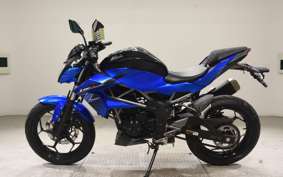 KAWASAKI Z250 SL 2021 BR250E