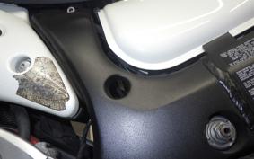 SUZUKI HAYABUSA Gen.2 2007
