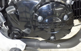 HONDA GROM 2025 JC61