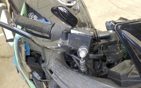 KAWASAKI NINJA 250 EX250L