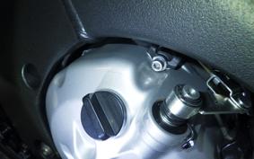 YAMAHA FZ1 FAZER 2010 RN21J