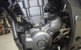 YAMAHA WR250R 2019 DG15J