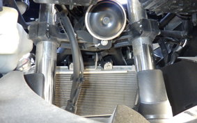 KAWASAKI NINJA 250 EX250Y