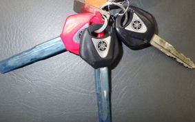 YAMAHA SR400 Gen.3 2007 RH01J